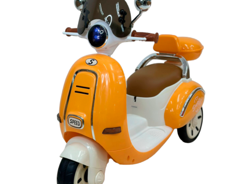 MOTO ELETRICA E300